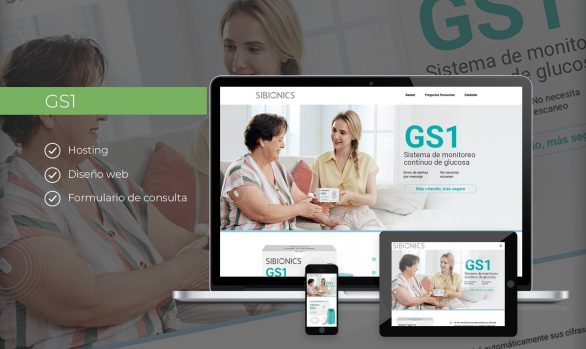 GS1